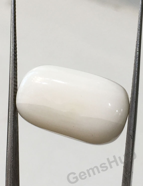 14.00 ratti/12.57 ct Natural Certified  White Coral/सफ़ेद मूंगा